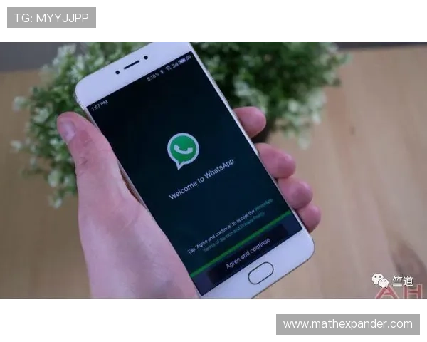 全面介绍AG官方APP功能特色与操作流程，提升您的使用体验
